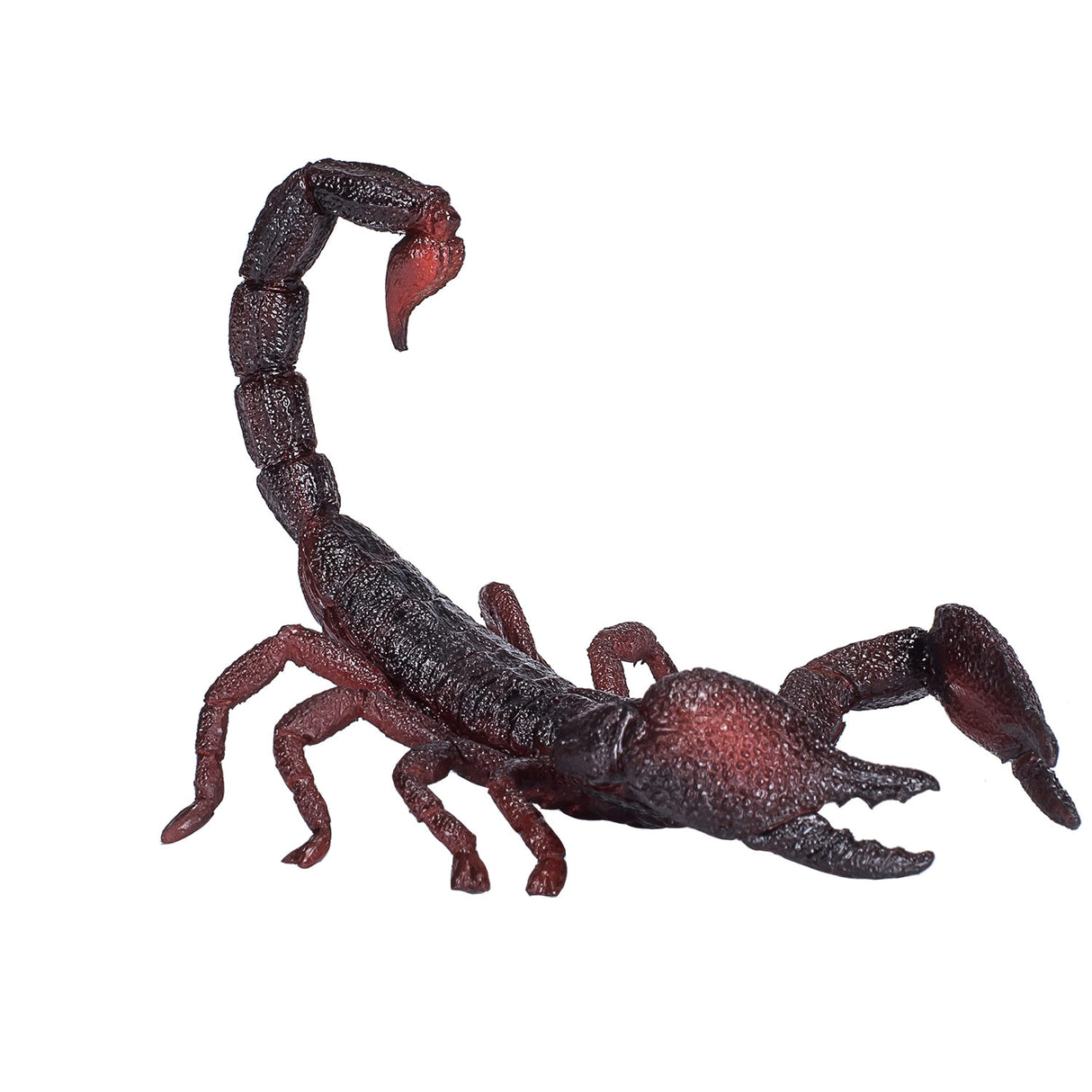 Scorpion empereur de la faune Mojo - 387133