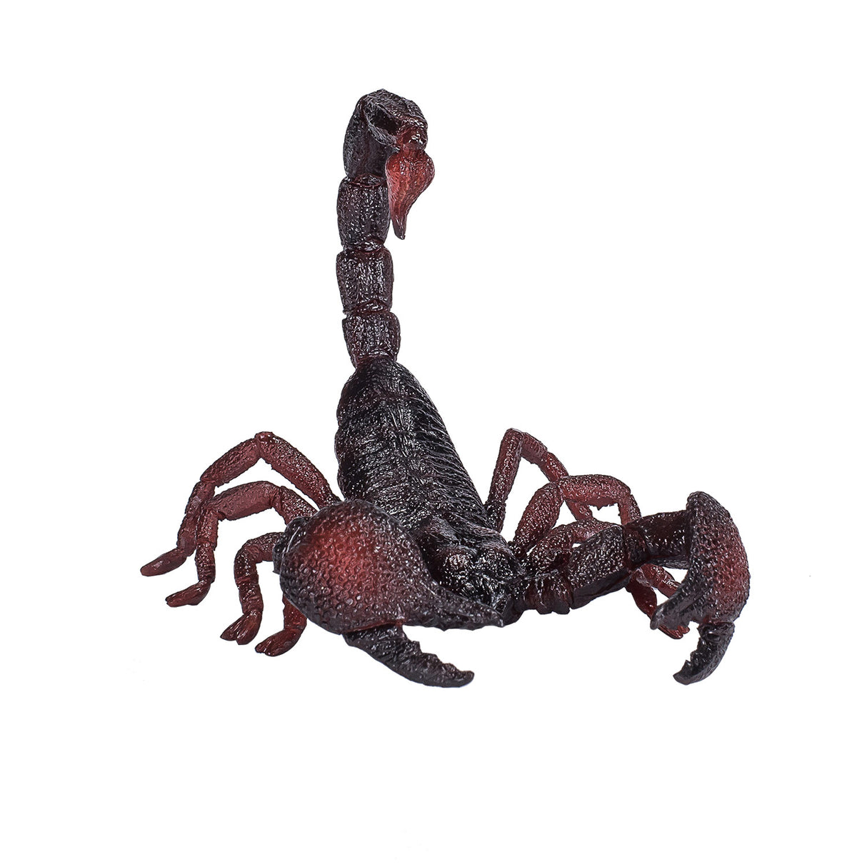 Scorpion empereur de la faune Mojo - 387133
