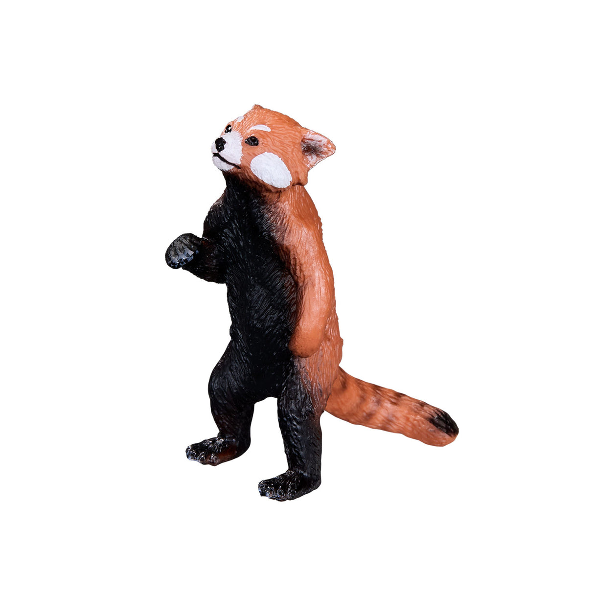 Panda roux Mojo Wildlife - 387376