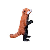 Panda roux Mojo Wildlife - 387376
