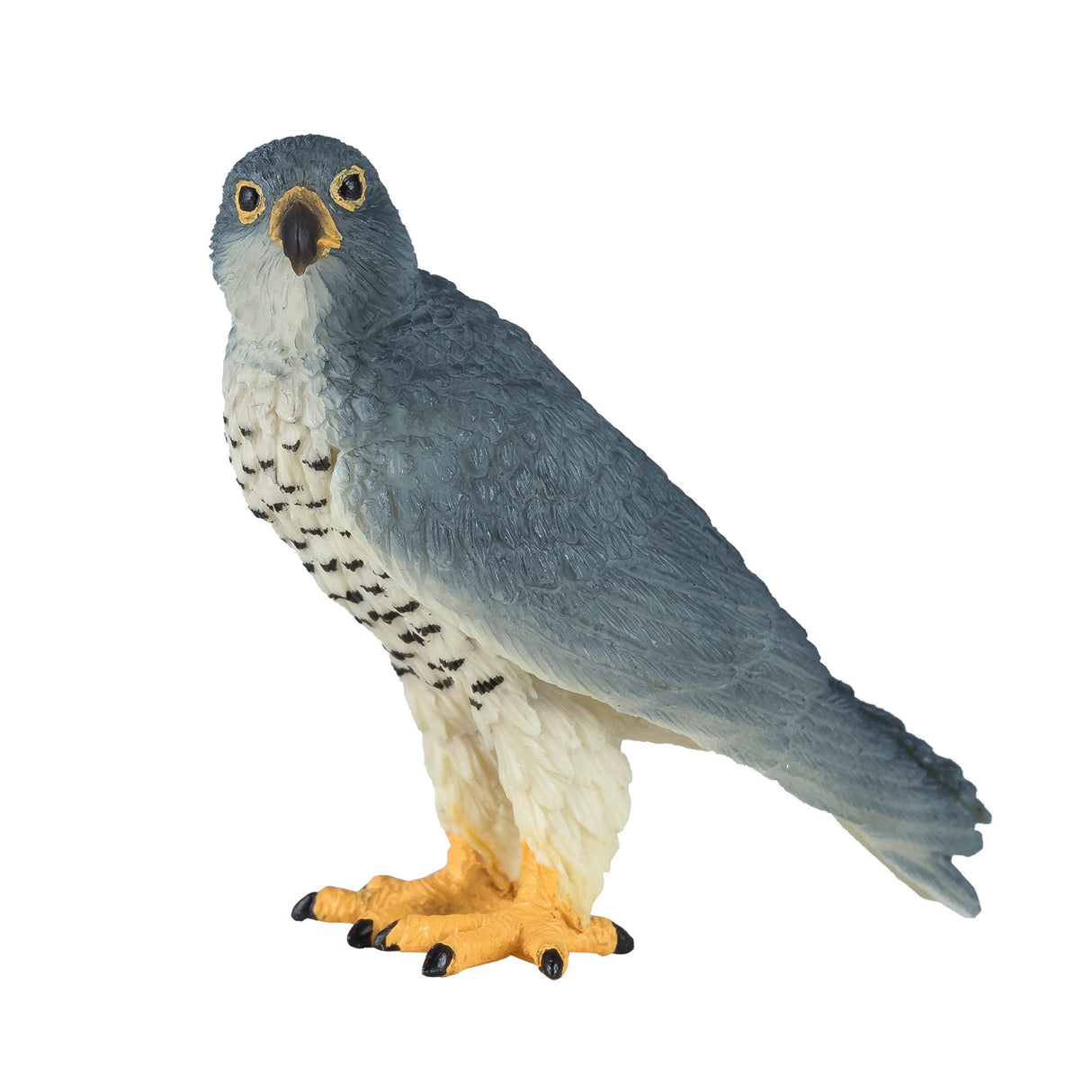 Faucon pèlerin de la faune Mojo - 381056