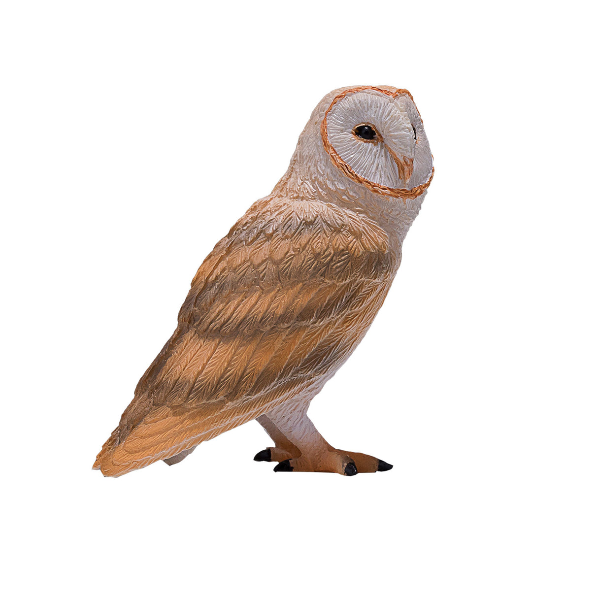 Effraie des clochers de la faune Mojo - 381054