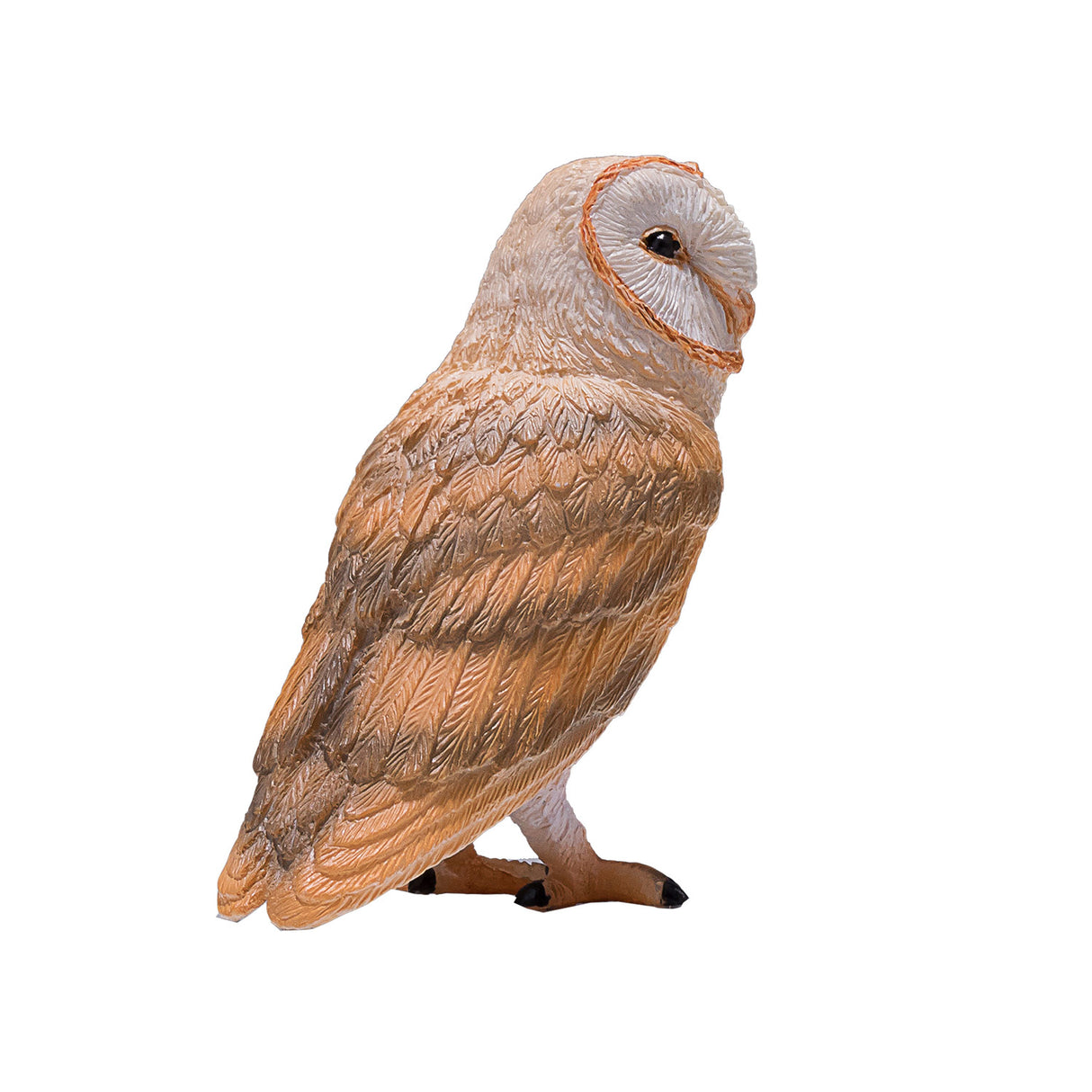 Effraie des clochers de la faune Mojo - 381054