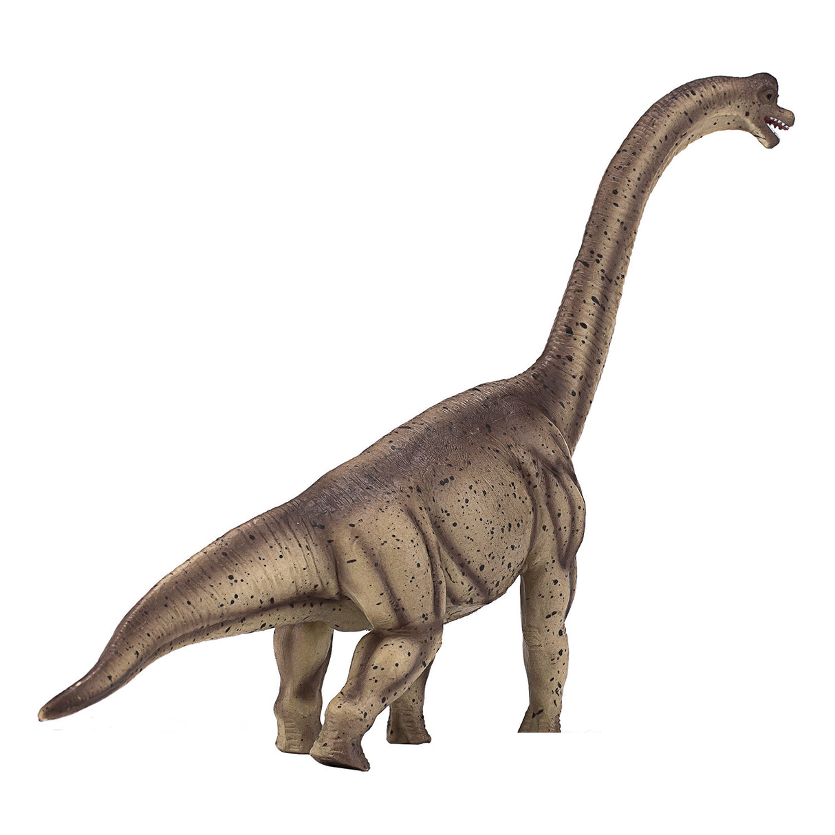 Mojo forhistorie Deluxe Brachiosaurus 387381