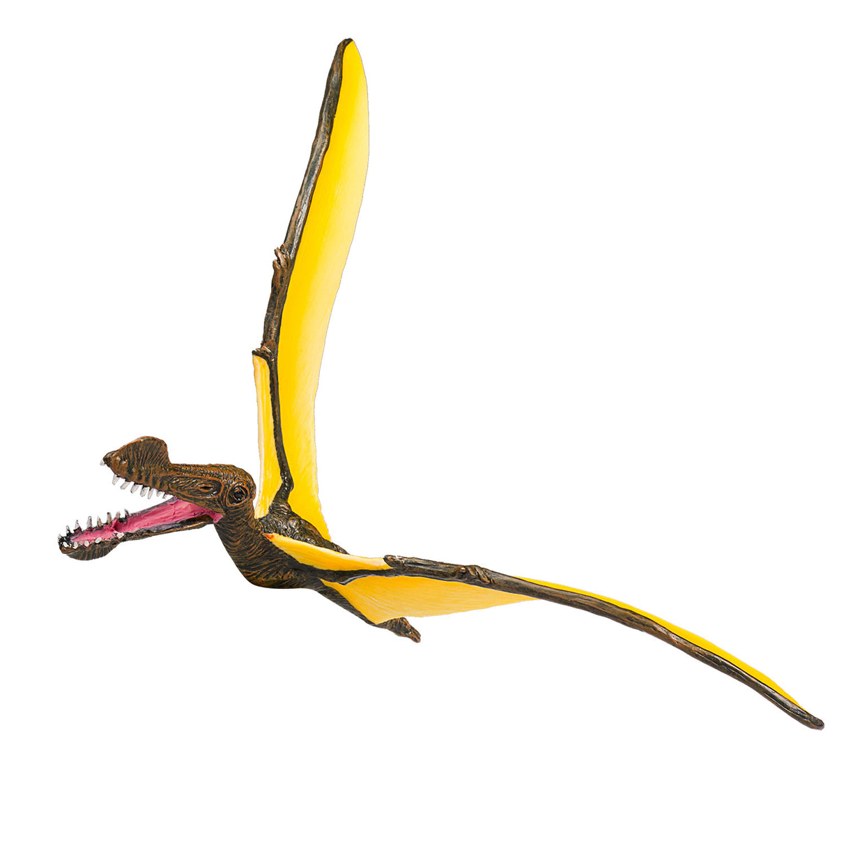 Mojo préhistoire tropeognathus - 387375