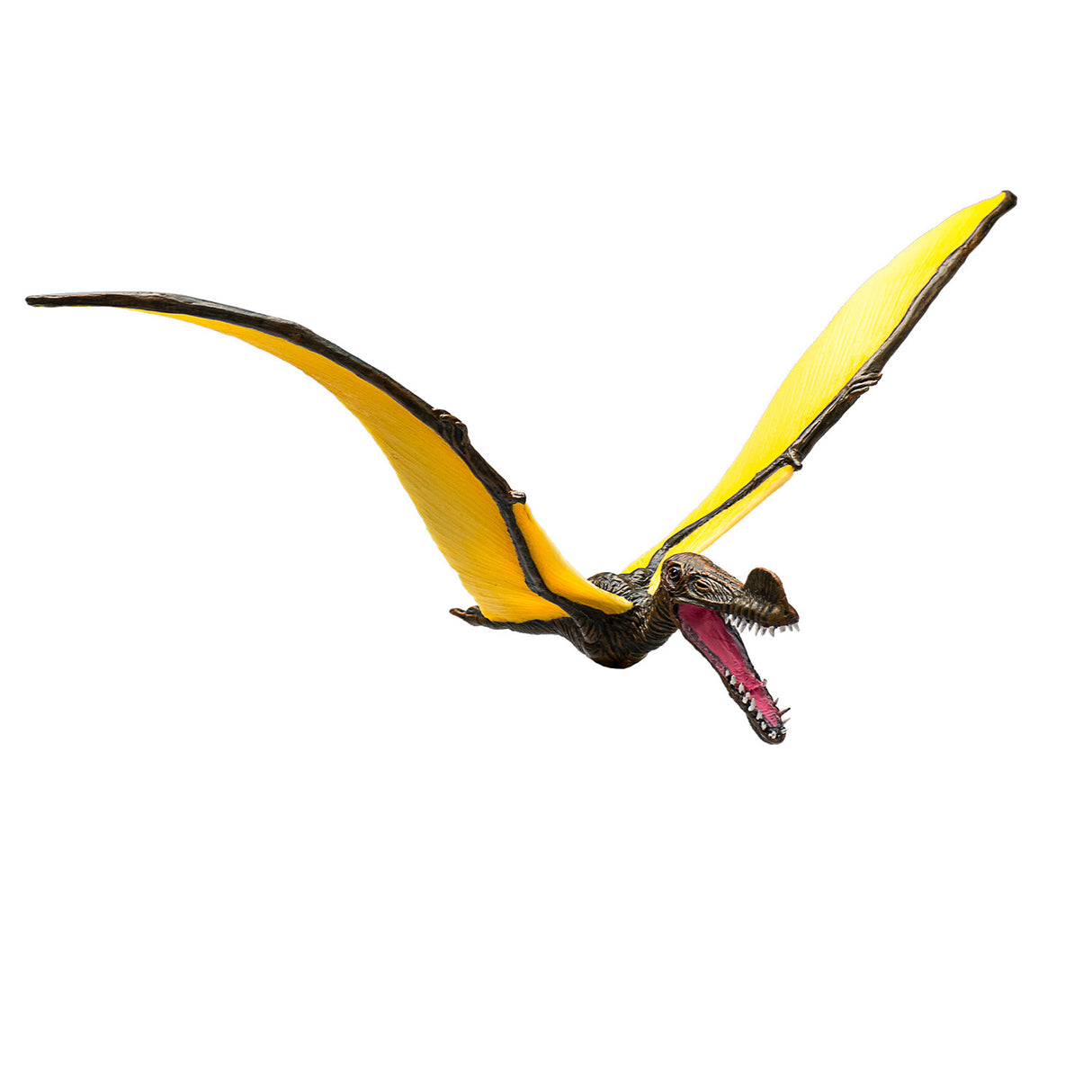 Mojo préhistoire tropeognathus - 387375