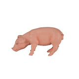 Terres agricoles Mojo mangeant un porcelet - 387056