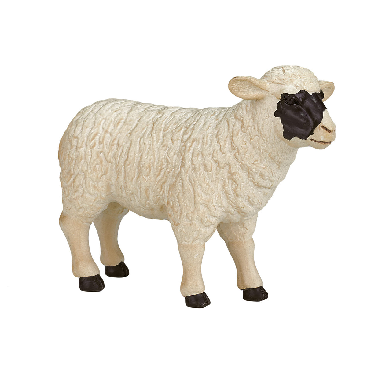 Mojo terres agricoles mouton à tête noire brebis - 387058