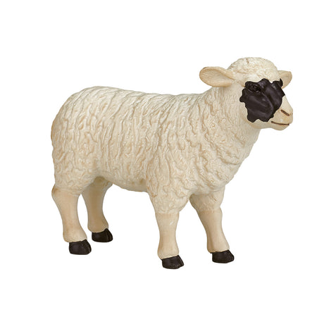 Mojo terres agricoles mouton à tête noire brebis - 387058