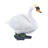 Cygne muet des terres agricoles Mojo - 387065