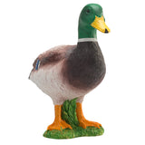 Canard sauvage des terres agricoles Mojo - 387127