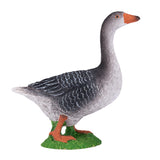 Mojo gris d'oie des terres agricoles - 381039