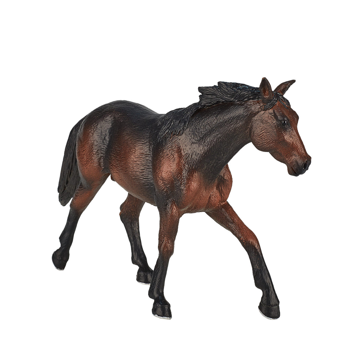 Mojo konj World Quarter Horse Donkerbruin 387151