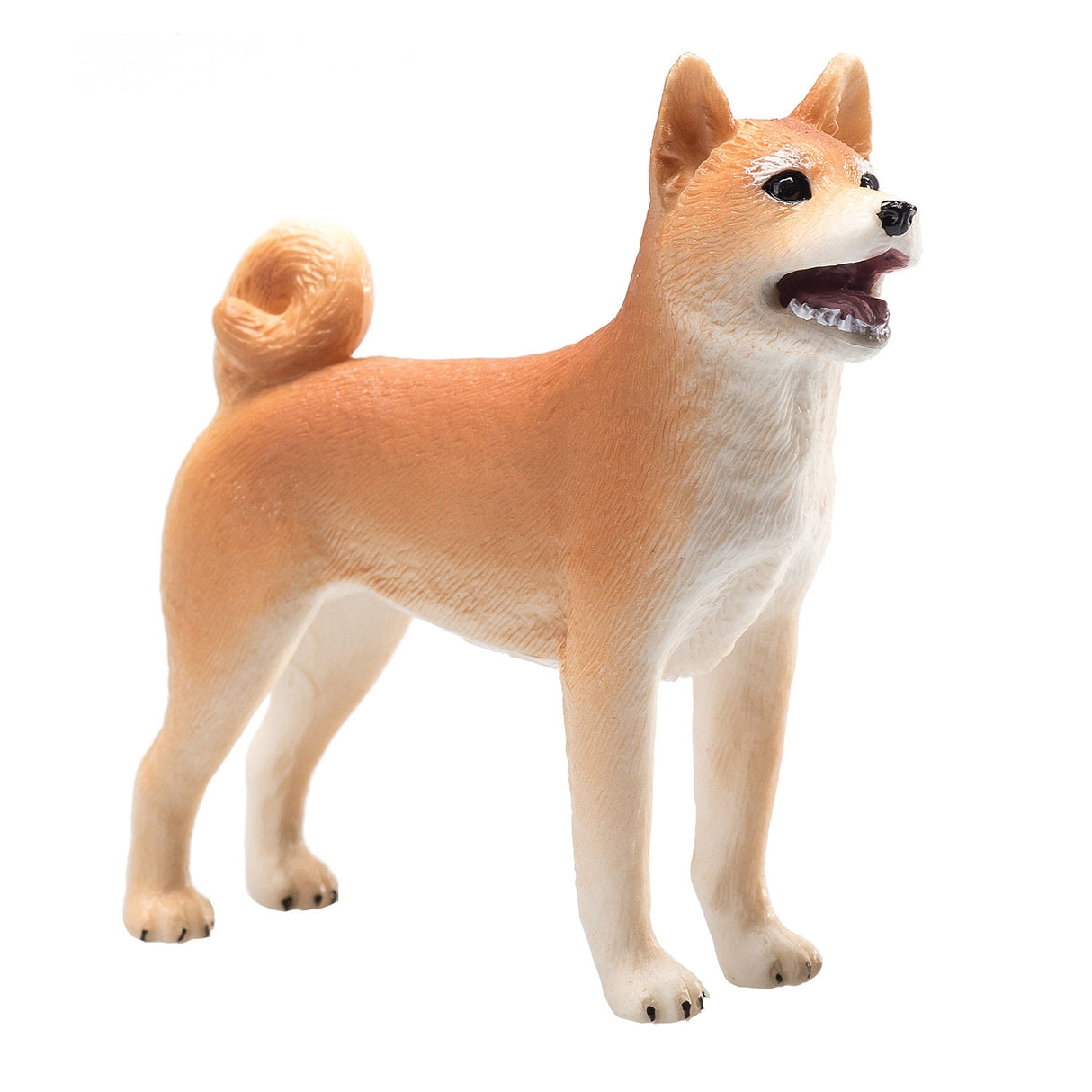 Shiba Inu des terres agricoles Mojo - 387140
