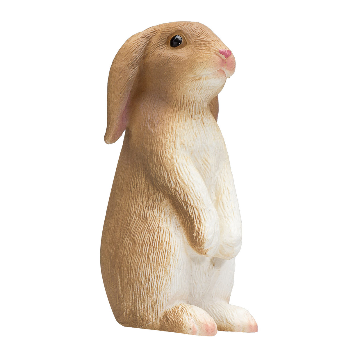 Lapin des terres agricoles Mojo - 387141