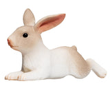 Lapin des terres agricoles Mojo couché - 387142