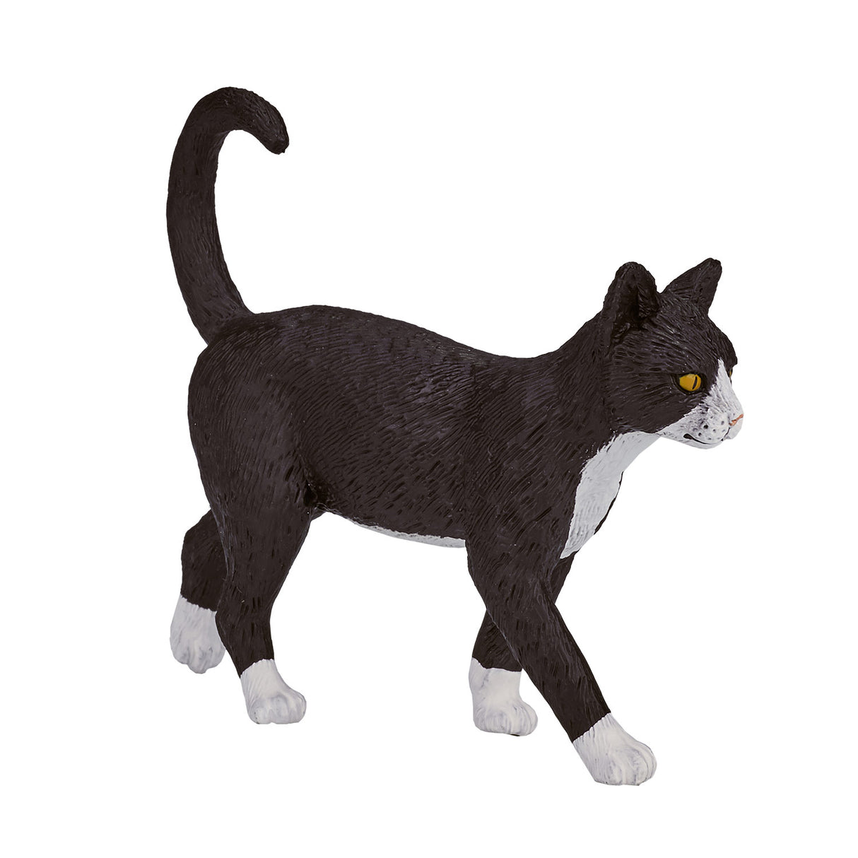 Chat des terres agricoles Mojo - 387200