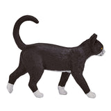 Chat des terres agricoles Mojo - 387200