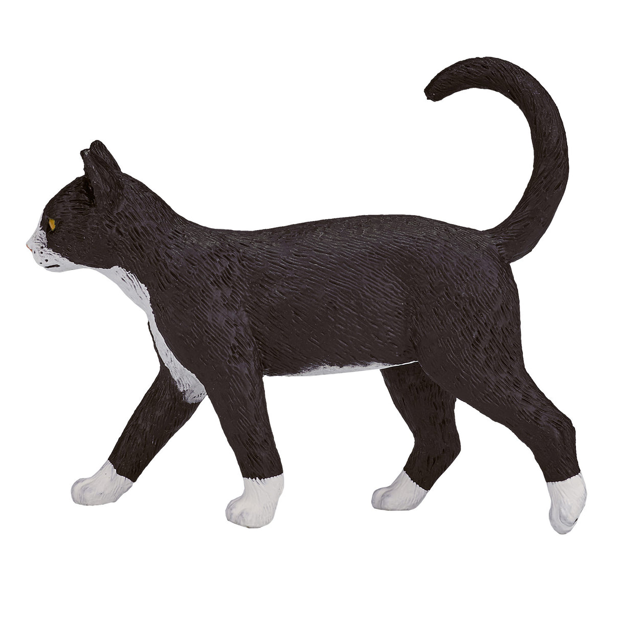 Chat des terres agricoles Mojo - 387200