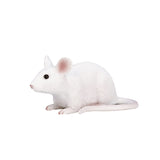 Souris des terres agricoles Mojo - 387235
