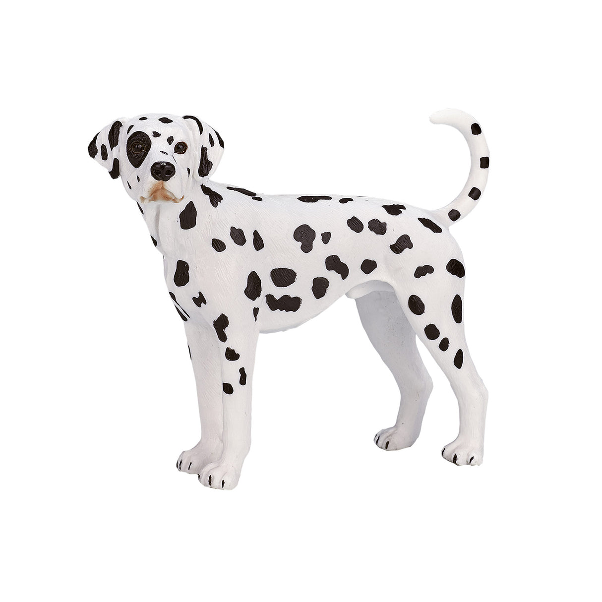 Dalmatien des terres agricoles Mojo - 387248
