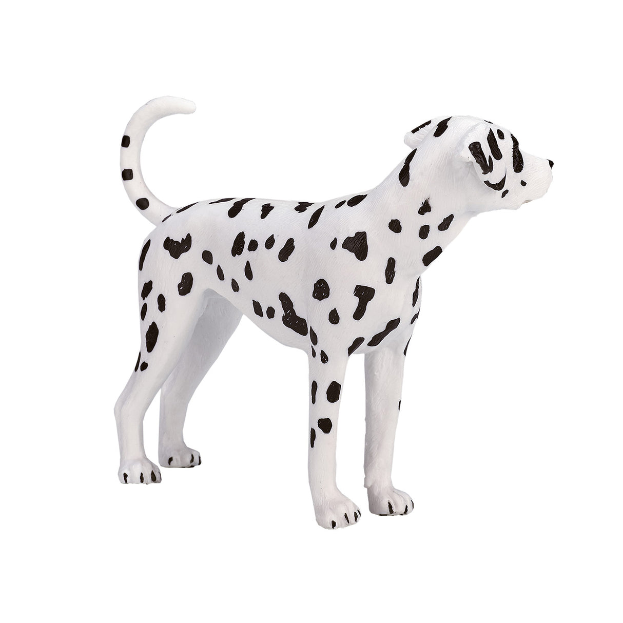 Dalmatien des terres agricoles Mojo - 387248