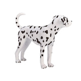 Dalmatien des terres agricoles Mojo - 387248