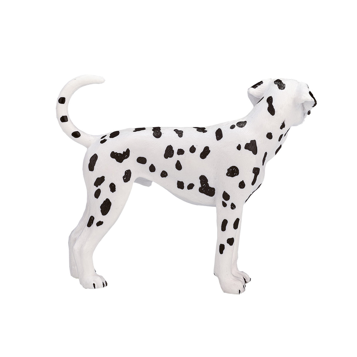 Mojo jordbruksmark dalmatian 387248