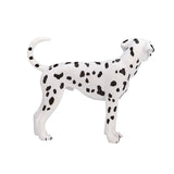 Dalmatien des terres agricoles Mojo - 387248