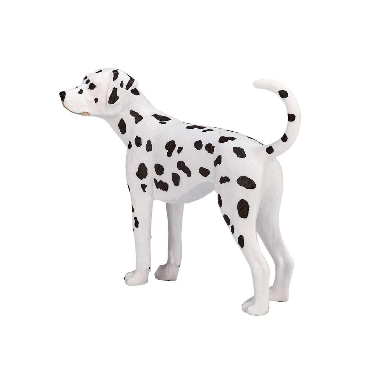 Mojo jordbruksmark dalmatian 387248