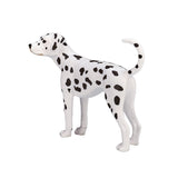 Dalmatien des terres agricoles Mojo - 387248