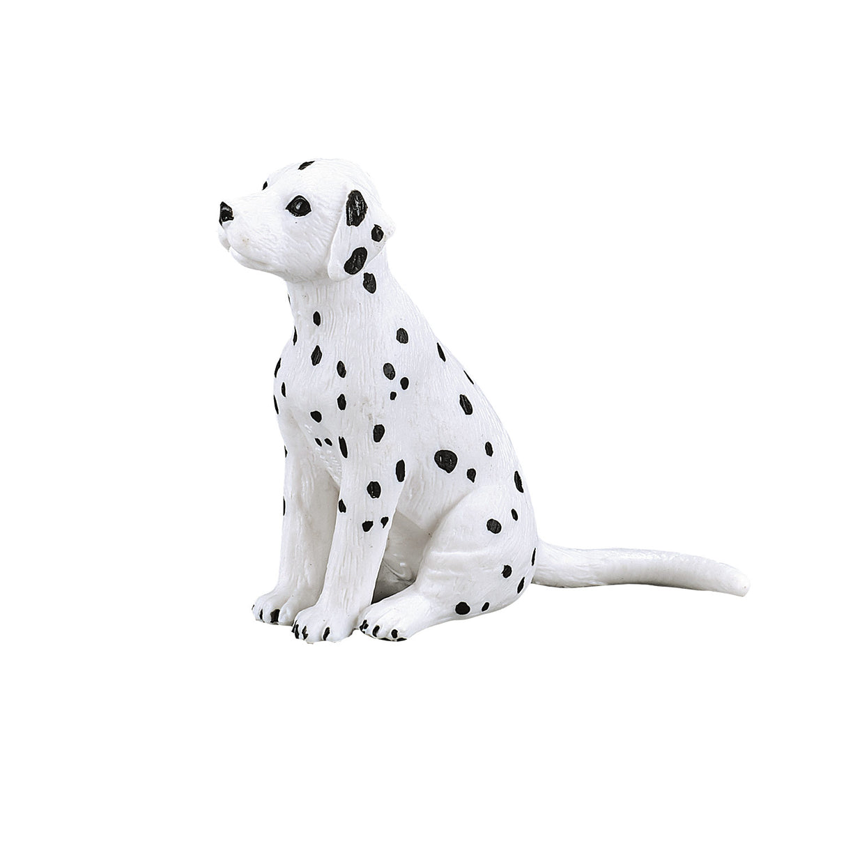 Chiot dalmatien des terres agricoles Mojo - 387249