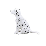 Chiot dalmatien des terres agricoles Mojo - 387249