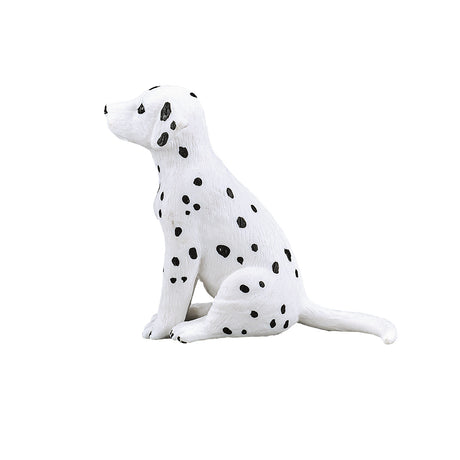 Chiot dalmatien des terres agricoles Mojo - 387249