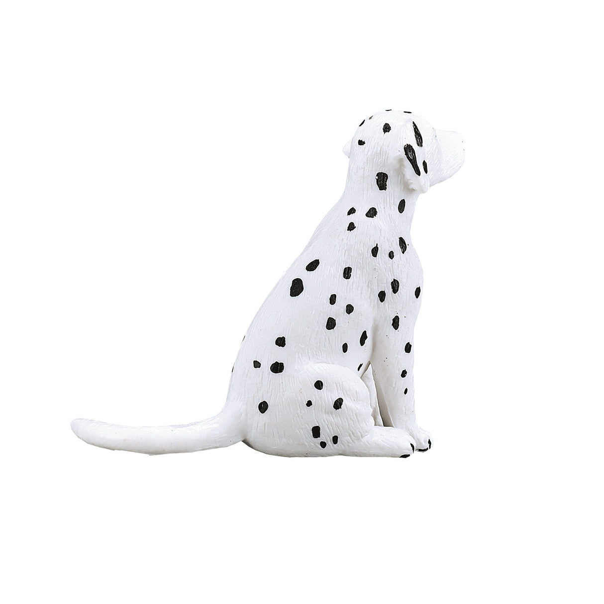 Chiot dalmatien des terres agricoles Mojo - 387249