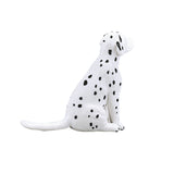Chiot dalmatien des terres agricoles Mojo - 387249