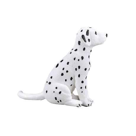 Chiot dalmatien des terres agricoles Mojo - 387249