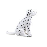 Chiot dalmatien des terres agricoles Mojo - 387249