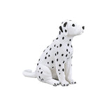 Chiot dalmatien des terres agricoles Mojo - 387249