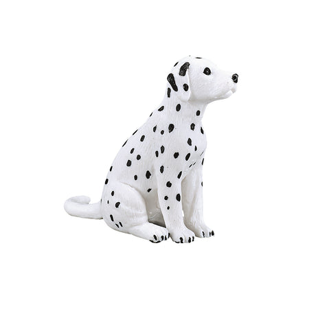 Chiot dalmatien des terres agricoles Mojo - 387249