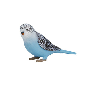 Perruche des terres agricoles Mojo bleu - 387292