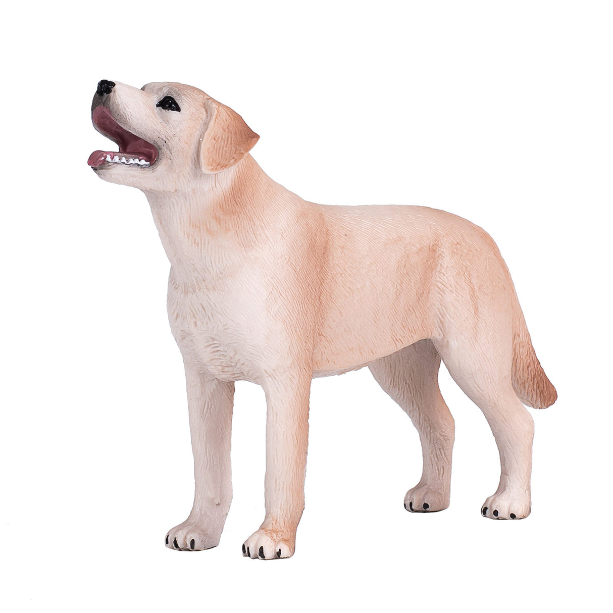 Terres agricoles Mojo labrador - 387271
