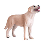 Terres agricoles Mojo labrador - 387271