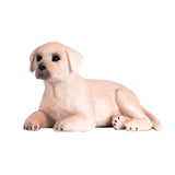 Chiot labrador des terres agricoles Mojo - 387272