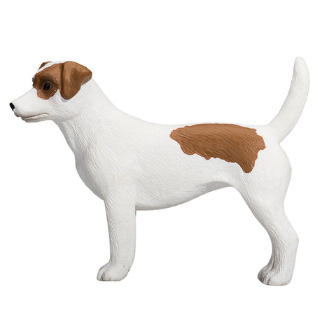 Mojo terres agricoles jack russell terrier - 387286