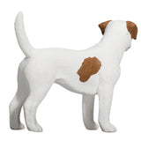 Mojo terres agricoles jack russell terrier - 387286
