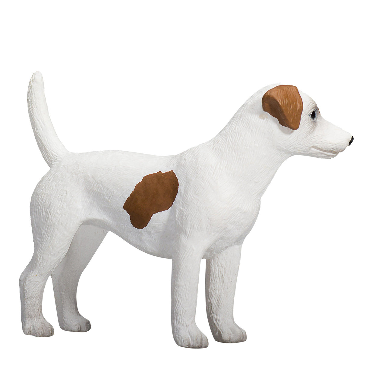 Mojo terres agricoles jack russell terrier - 387286
