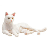 Mojo terres agricoles couché chat blanc - 387368
