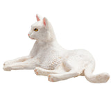 Mojo terres agricoles couché chat blanc - 387368