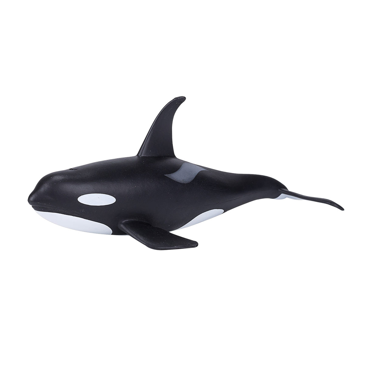 Épaulard mâle Mojo sealife - 387114